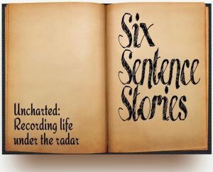Six Sentence Storied